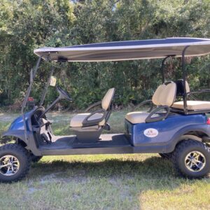 Golf Cart - 6 Passenger Rental